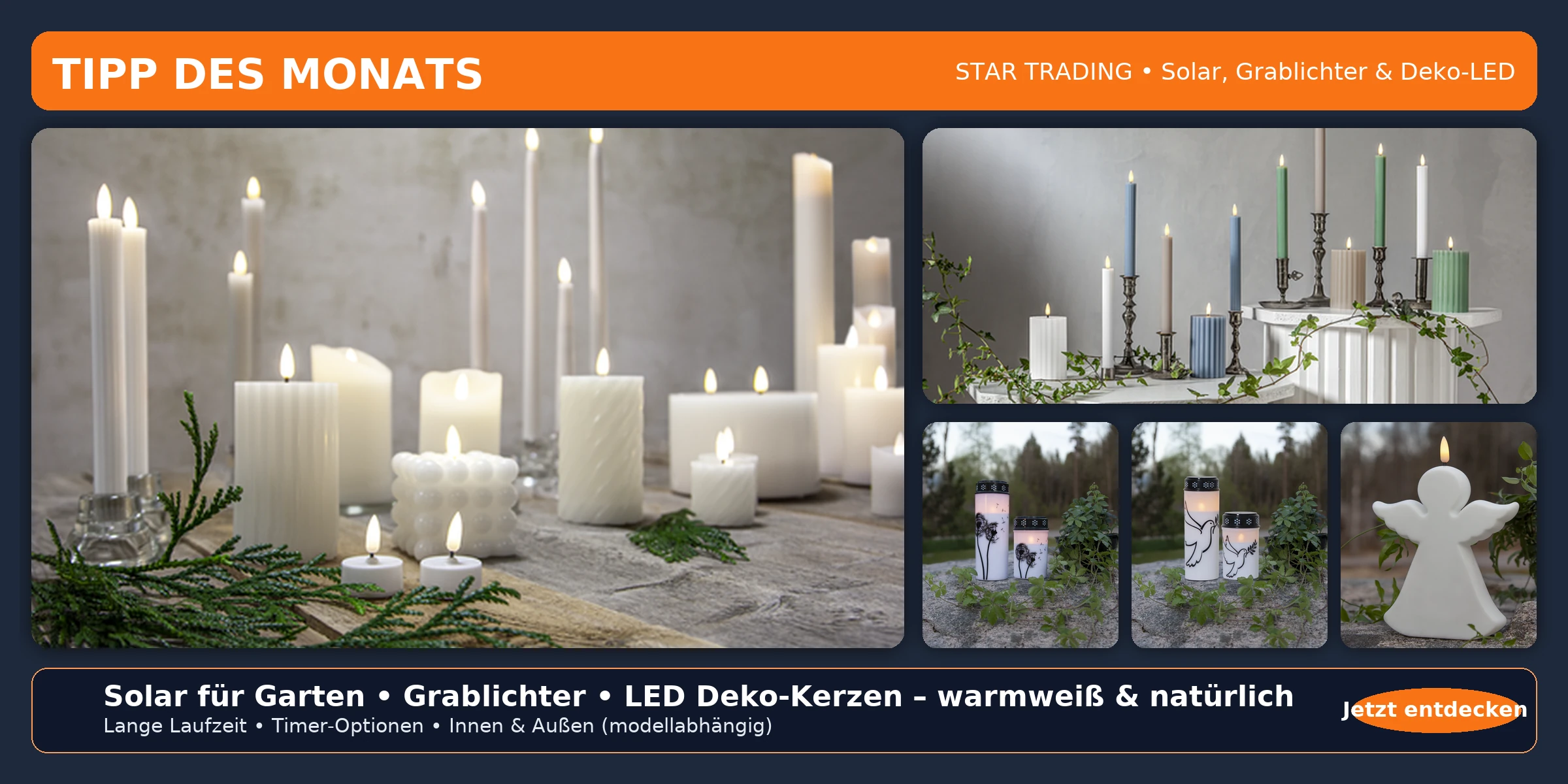 Tipp des Monats – STAR TRADING Auswahl (2400×1200)